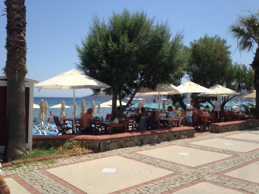Acelya Hotel Ortakent Dış mekan fotoğraf